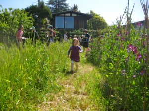 Photo Courtesy of David Silver/FLICKR