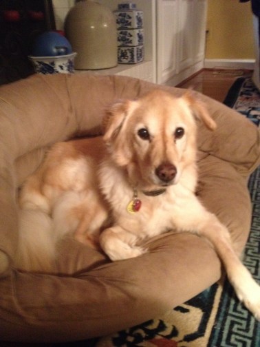 Features_CatieByrne_Sugar7_CatieByrne