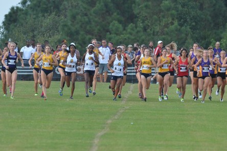 NCAA CROSS COUNTRY:  SEP 16 2016 Adidas Cross Country Challenge - UNC Greensboro