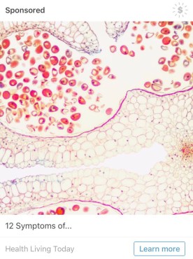 7.20.17_Features_Absurd Advertisements__Catie Byrne (2)