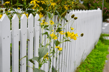 Opinions_Dembkoski Nature_Ginevra Walker