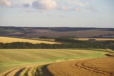 Opinions_Heberly_Mere - 'prairie' monoculture field landscape_Natural England_flickr