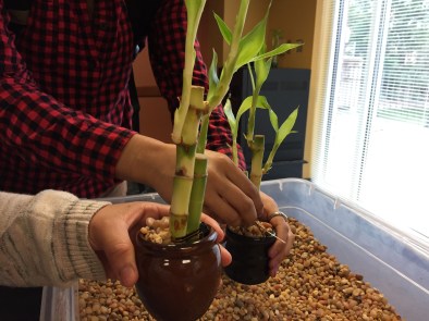 9.13.17_Features_Janelle Crubaugh_Bamboo event_Janelle Crubaugh