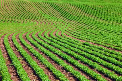 Opinions_Heberly_TWF_Ian Sane_flickr.jpg