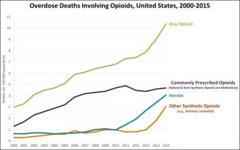 News_Opiods_Madison Hoffmann_ Wikimedia