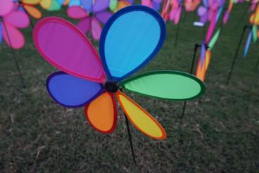 Opinions_Teenage Suicide (Don_t Do It)_Krysten Heberly_Photo by Krysten Heberly.jpg