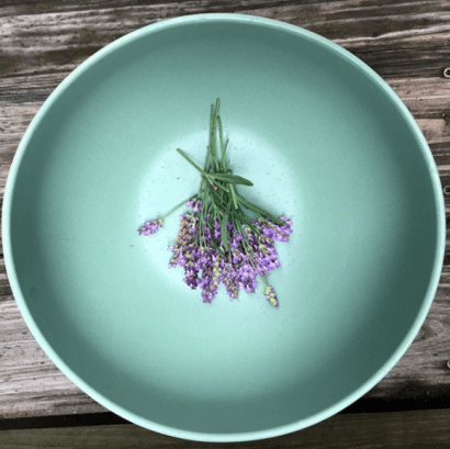 Opinions_Essential Oils Are Not the Cure_Krysten Heberly_Photo by Krysten Heberly.png