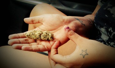 Opinions_The War on Marijuana_Courtney Cordoza_flickr user_Tanjila Ahmed.jpg