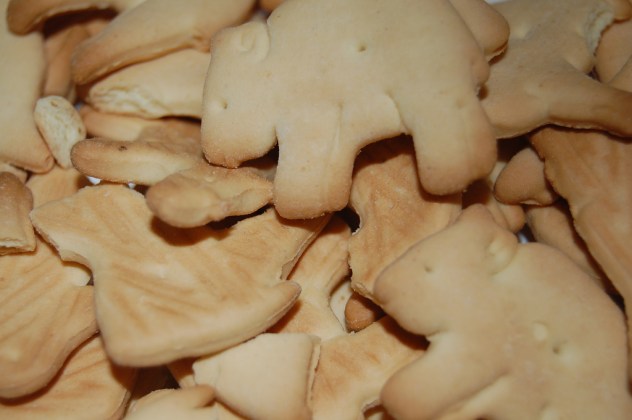 opinions_courtney_animal crackers_flickr_Jay Malone.jpg